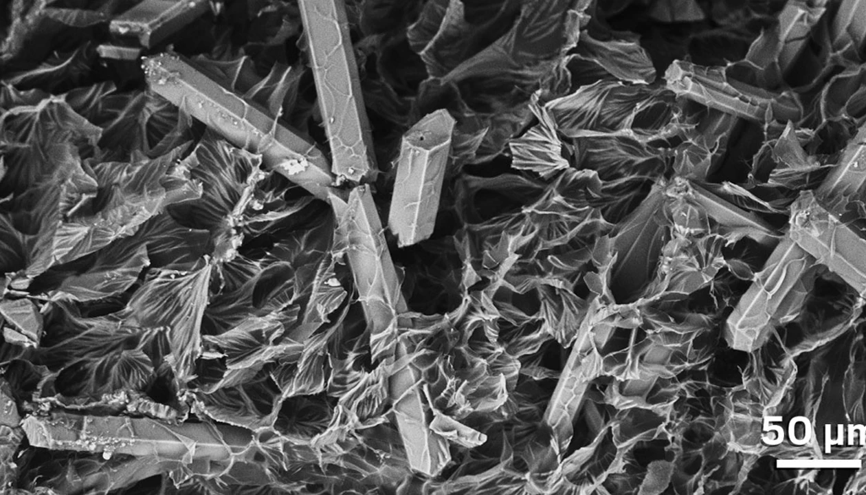 Chemistry in Pictures: Messin’ with hydrogels