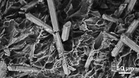 Serving the chemical, life science, and laboratory worlds