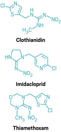 Serving the chemical, life science, and laboratory worlds