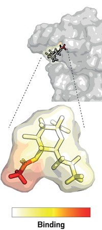 Serving the chemical, life science, and laboratory worlds