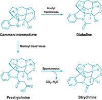 Serving the chemical, life science, and laboratory worlds