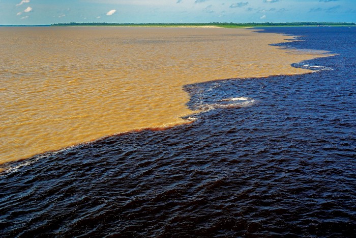Amazon River tributary’s rich organic content protects fish from copper