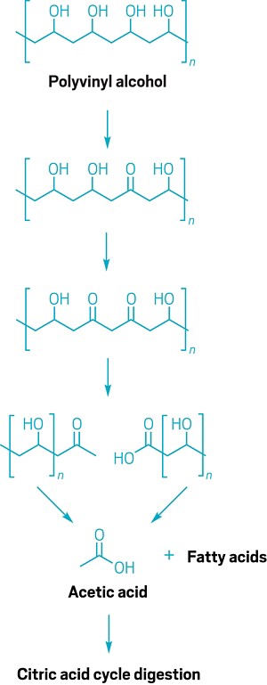 What makes dissolving detergent pods hold together, and are they 