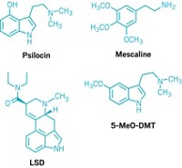 Serving the chemical, life science, and laboratory worlds