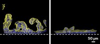 Serving the chemical, life science, and laboratory worlds