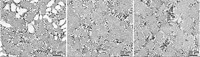 Serving the chemical, life science, and laboratory worlds