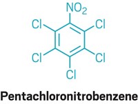 Serving the chemical, life science, and laboratory worlds