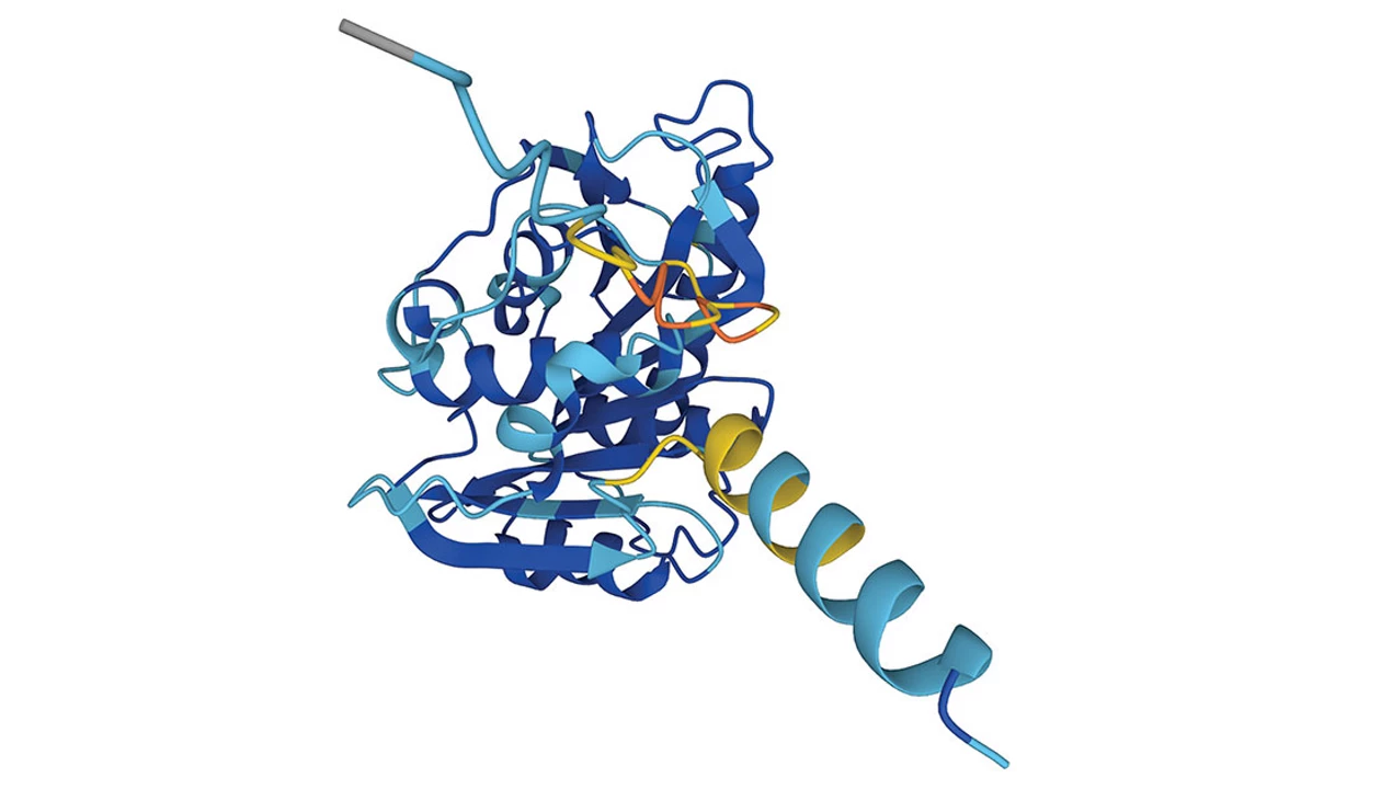 Meta AI releases models of over 600 million potential proteins