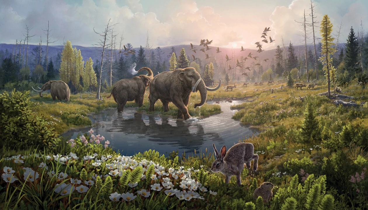 Ancient ecosystem reconstructed using 2-million-year-old DNA
