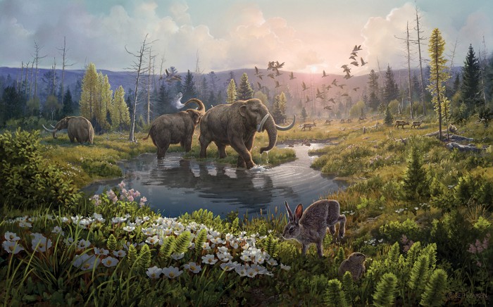 Plant And Animal Ecosystems