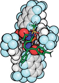 Serving the chemical, life science, and laboratory worlds