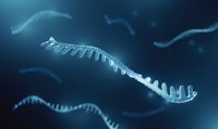 Serving the chemical, life science, and laboratory worlds