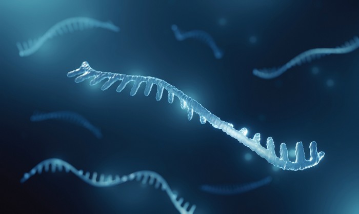 Resalis takes aim at ‘master regulator of metabolism’