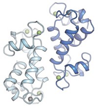 Serving the chemical, life science, and laboratory worlds