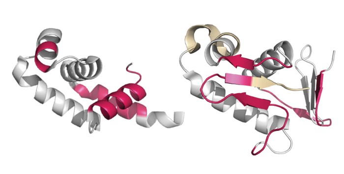 Meta AI releases models of over 600 million potential proteins