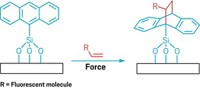 Serving the chemical, life science, and laboratory worlds