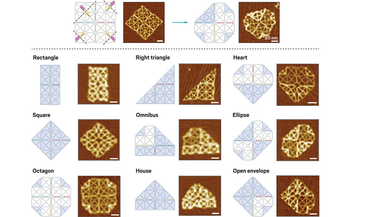 Chemistry in Pictures: Crease