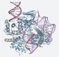 Serving the chemical, life science, and laboratory worlds