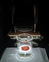 Serving the chemical, life science, and laboratory worlds
