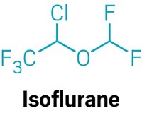 Serving the chemical, life science, and laboratory worlds