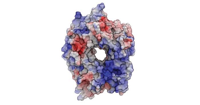 Open-source competition finds potential candidates for Parkinson’s ...