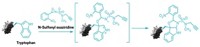 Serving the chemical, life science, and laboratory worlds