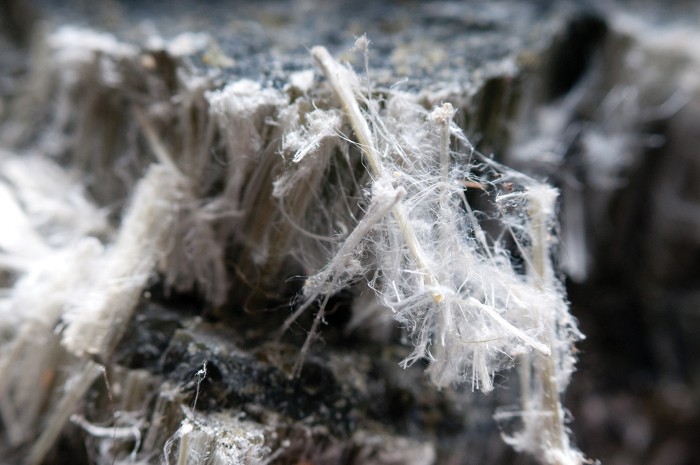 Up-close shot of chrysotile asbestos fibers.