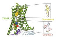 Serving the chemical, life science, and laboratory worlds