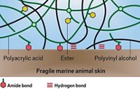 Serving the chemical, life science, and laboratory worlds