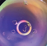 Serving the chemical, life science, and laboratory worlds