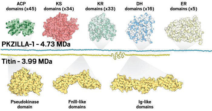 Serving the chemical, life science, and laboratory worlds