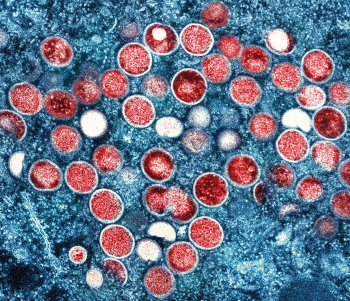 WHO declares mpox a global health emergency