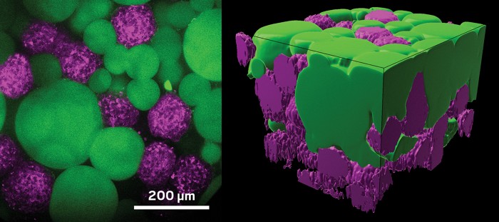 New hydrogel materials could help with tissue repair