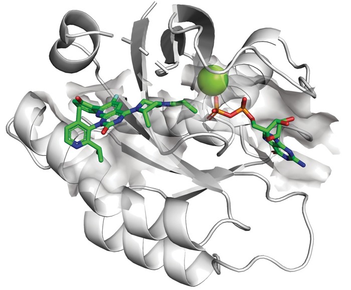 Serving the chemical, life science, and laboratory worlds