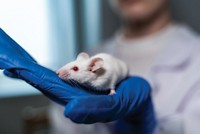 Serving the chemical, life science, and laboratory worlds