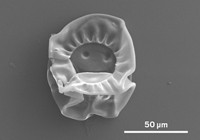 Serving the chemical, life science, and laboratory worlds