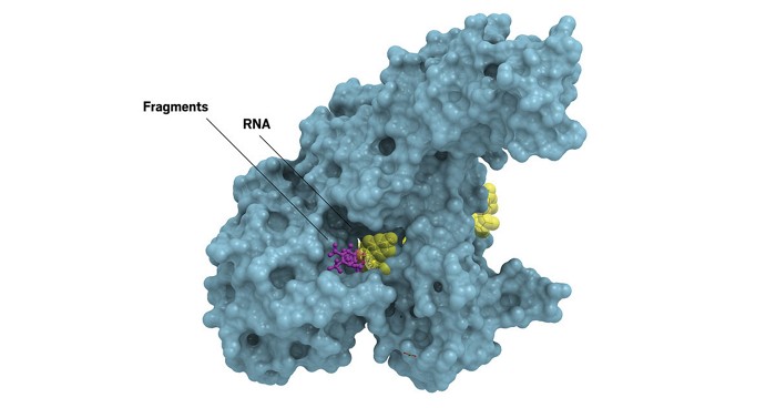 Open source competition finds potential corona drugs