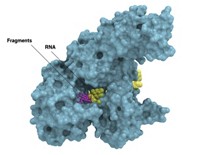 Serving the chemical, life science, and laboratory worlds