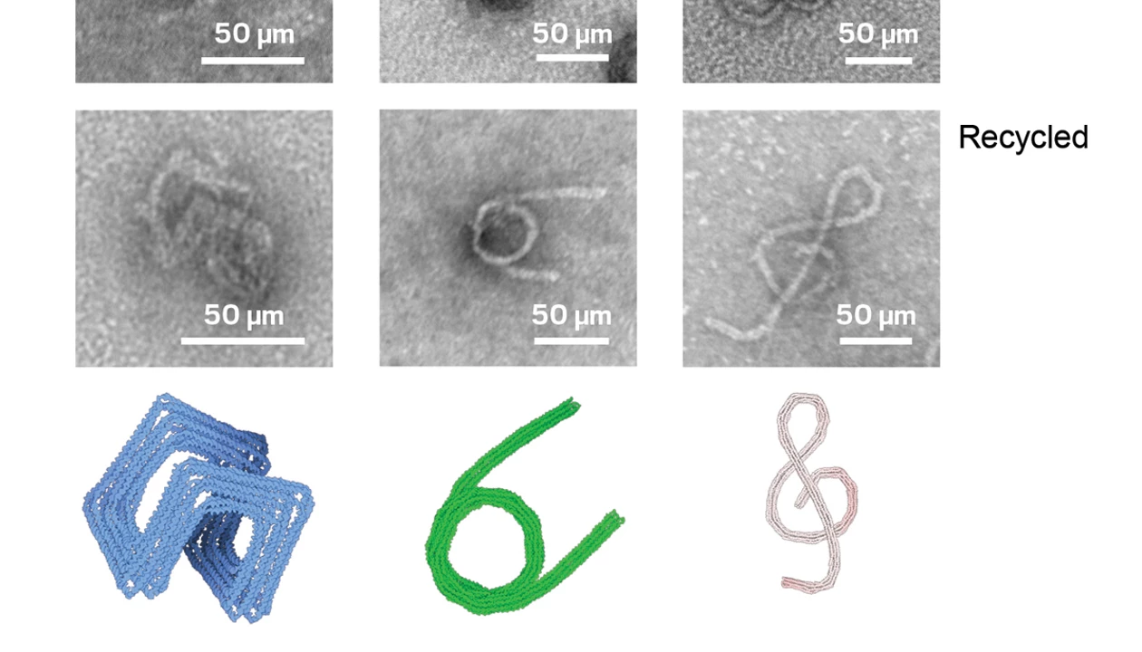 CacheDNA Develops Polymer for Room Temperature Biomolecule Storage