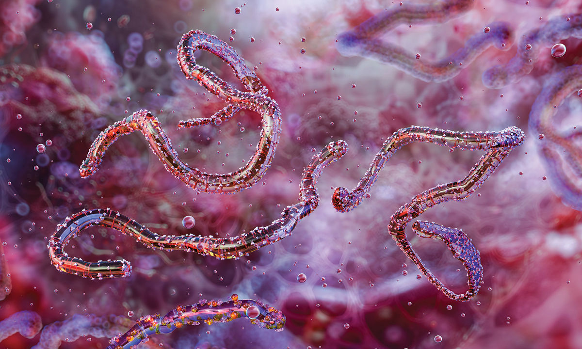 Here's what's happening with the Marburg virus outbreak in Rwanda
