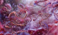 Serving the chemical, life science, and laboratory worlds