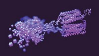 Serving the chemical, life science, and laboratory worlds