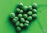 Serving the chemical, life science, and laboratory worlds
