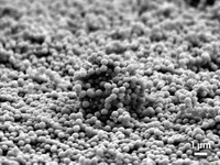 Serving the chemical, life science, and laboratory worlds