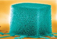 Serving the chemical, life science, and laboratory worlds