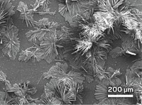 Serving the chemical, life science, and laboratory worlds