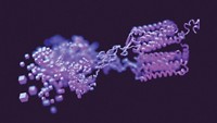 Serving the chemical, life science, and laboratory worlds