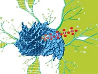 Serving the chemical, life science, and laboratory worlds