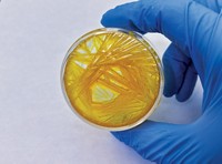 Serving the chemical, life science, and laboratory worlds