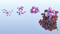 Serving the chemical, life science, and laboratory worlds